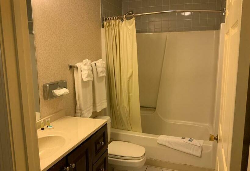 هتل Regency Inn & Suites