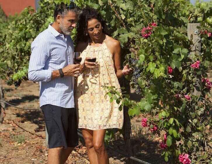 בית מלון כפרי South Coast Winery Resort & Spa