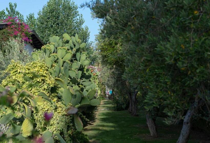 هتل Vascellero Club Resort