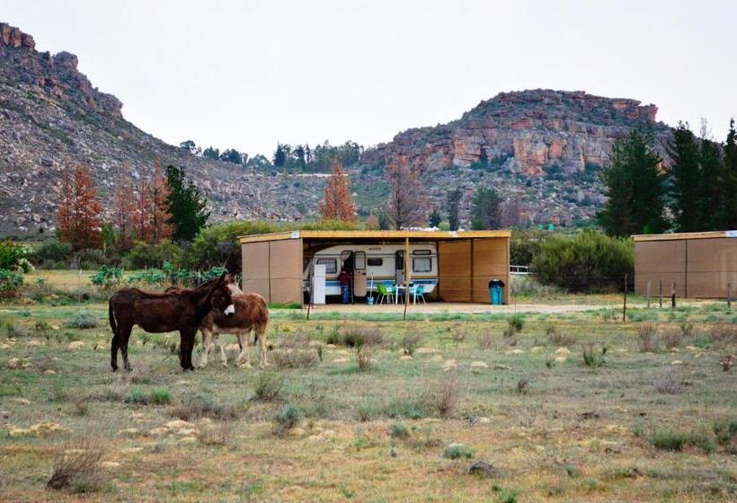 בית מלון כפרי Alpha Excelsior Guest Farm