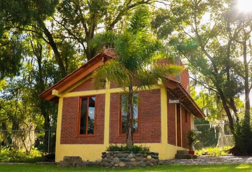 فندق Cabanas Del Bosque By Rotamundos