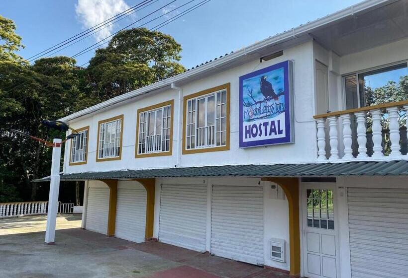 پانسیون Hostal Mochileros Inn