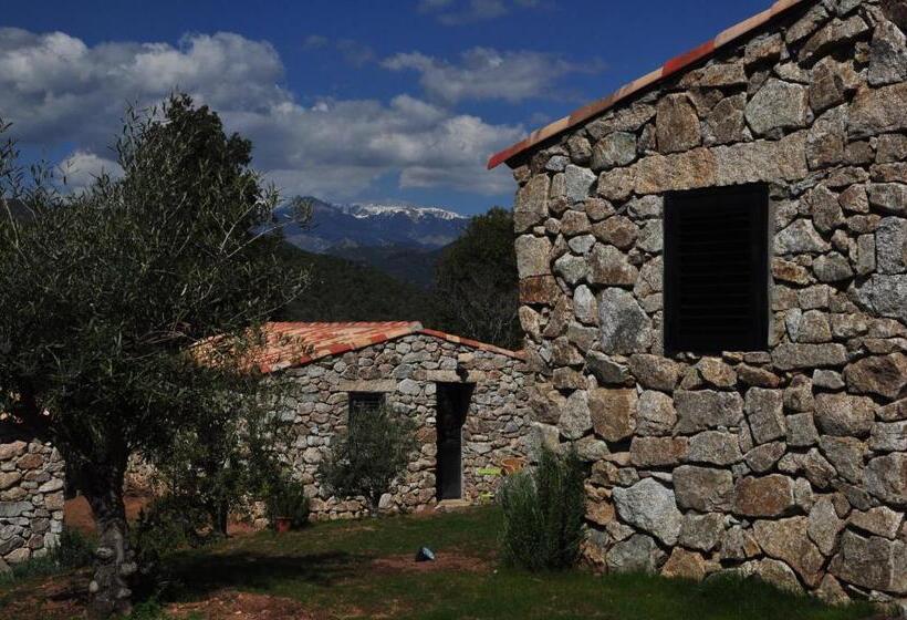 تختخواب و صبحانه Bergerie Du Prunelli