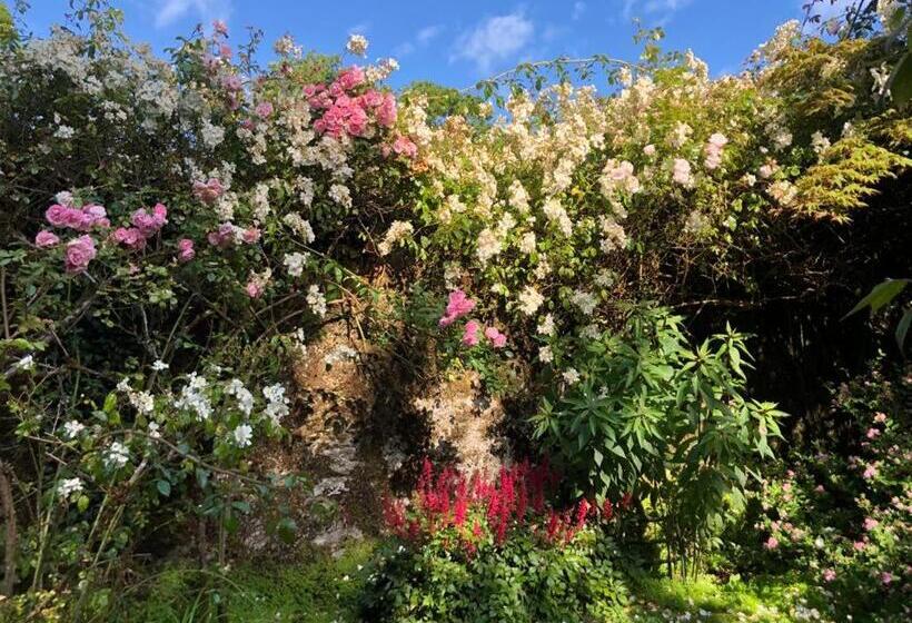 Bed and Breakfast Kilmahon House, P25a973