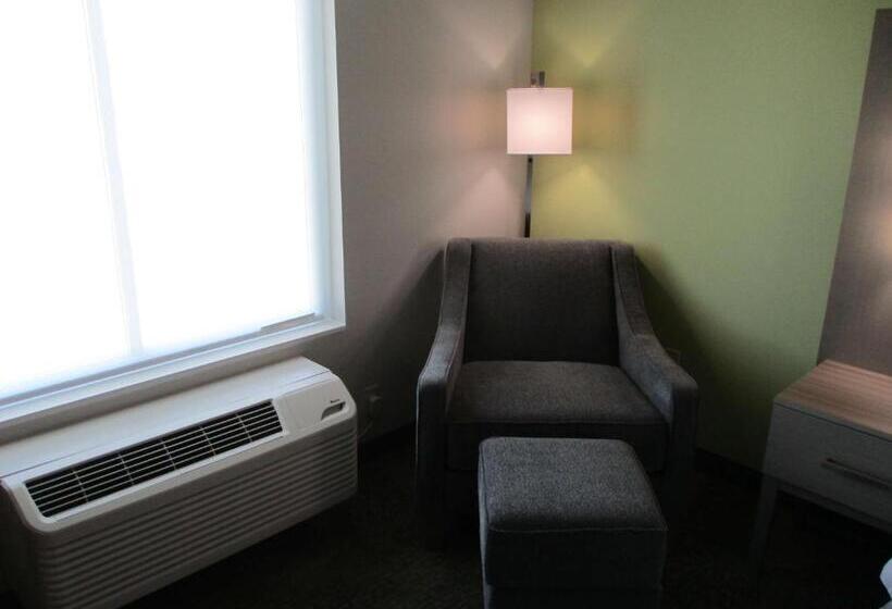 酒店 La Quinta Inn & Suites By Wyndham Jackson Cape Girardeau