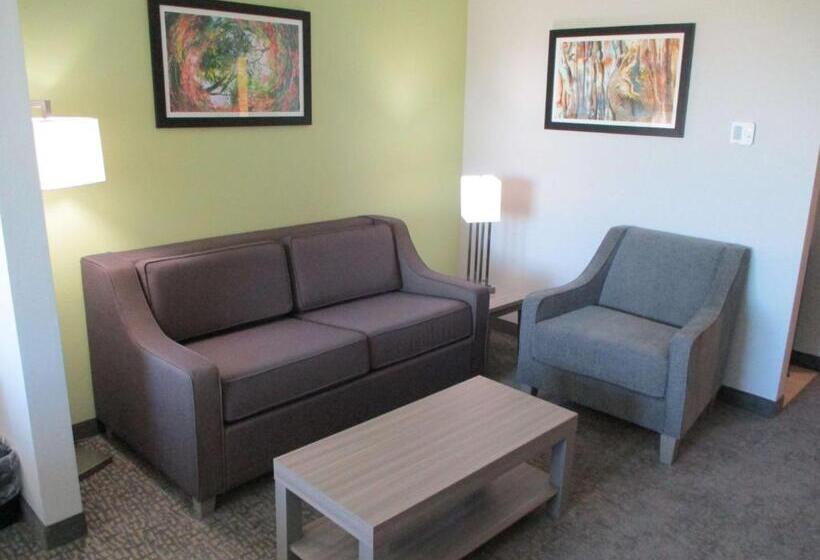 酒店 La Quinta Inn & Suites By Wyndham Jackson Cape Girardeau