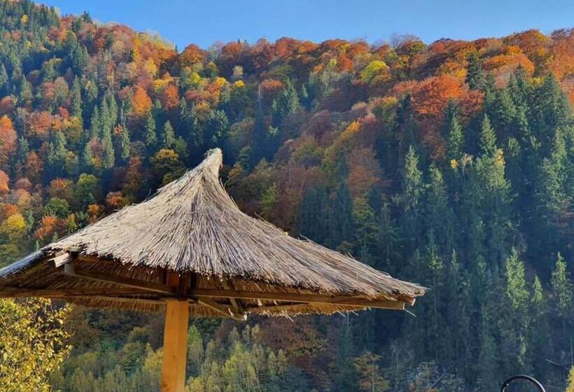 酒店 Popasul Regelui Transalpina