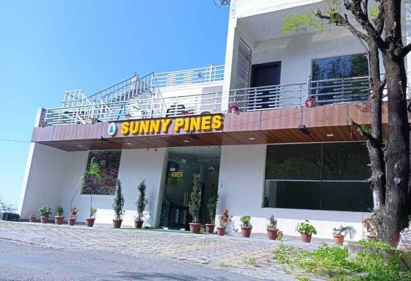 בית מלון כפרי Sunny Pines Resort
