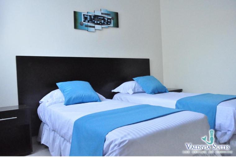 فندق Valdivia Suites