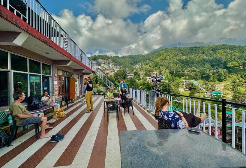 مبيت وإفطار Backpackers Inn