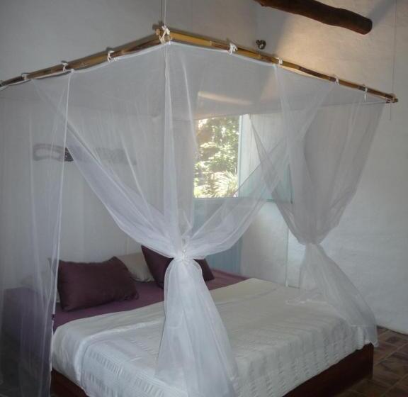 Posada Finca San Vicente B&b