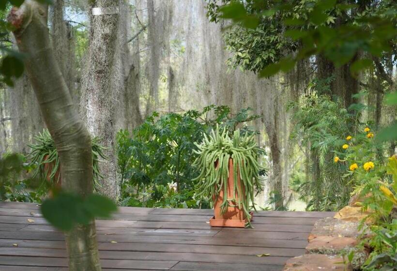 Posada Finca San Vicente B&b