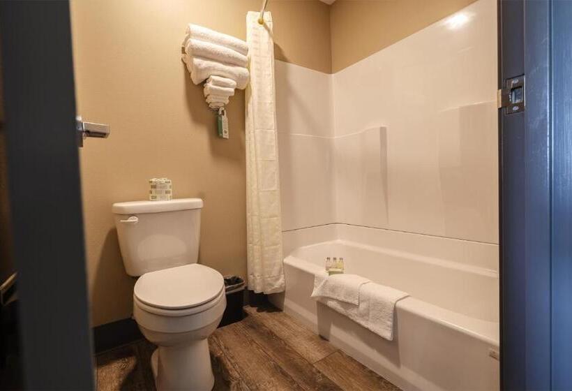 ホテル Cobblestone Inn & Suites  Trenton