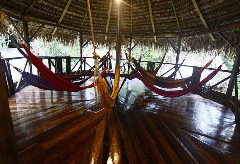 فندق Jamu Lodge