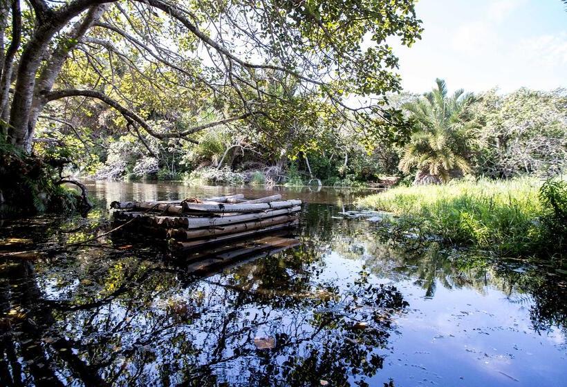 Отель Royal Thonga Safari Lodge