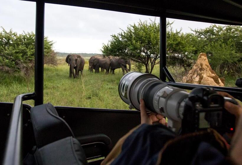 Отель Royal Thonga Safari Lodge