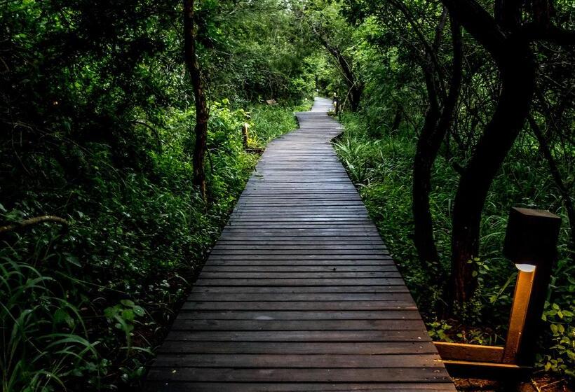 Отель Royal Thonga Safari Lodge