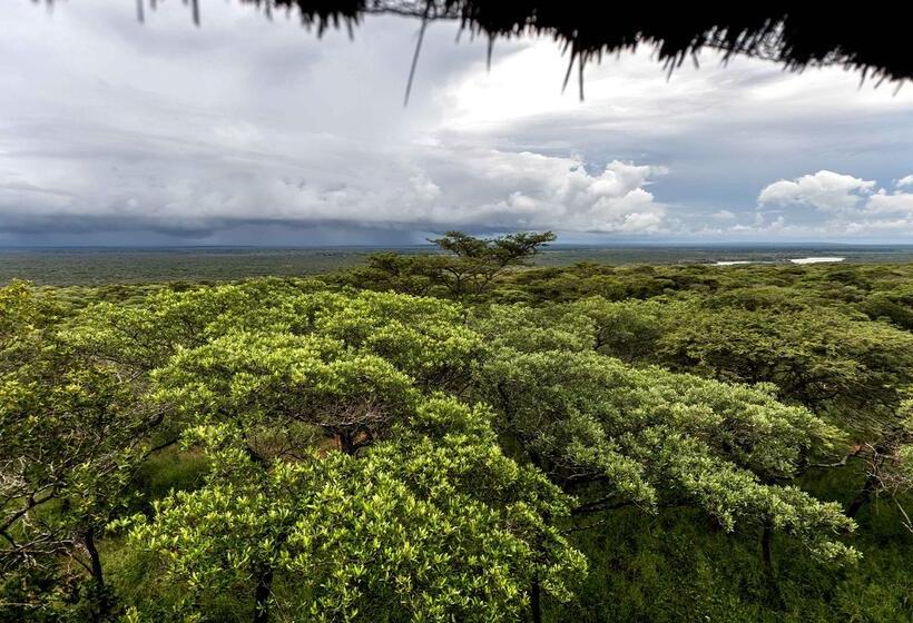 Отель Royal Thonga Safari Lodge