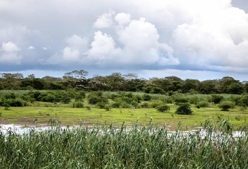 Отель Royal Thonga Safari Lodge