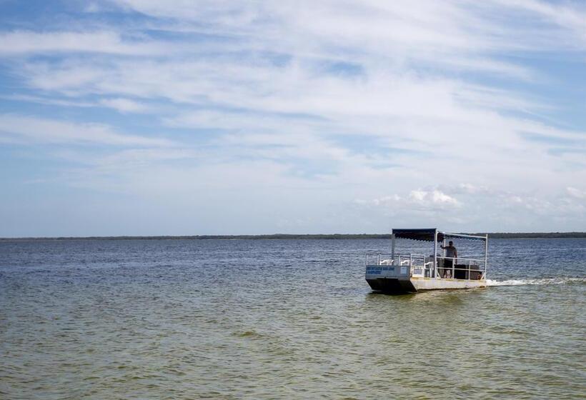 Отель Royal Thonga Safari Lodge