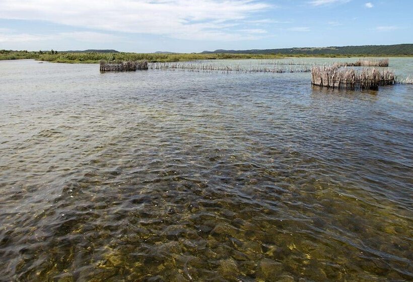 Отель Royal Thonga Safari Lodge