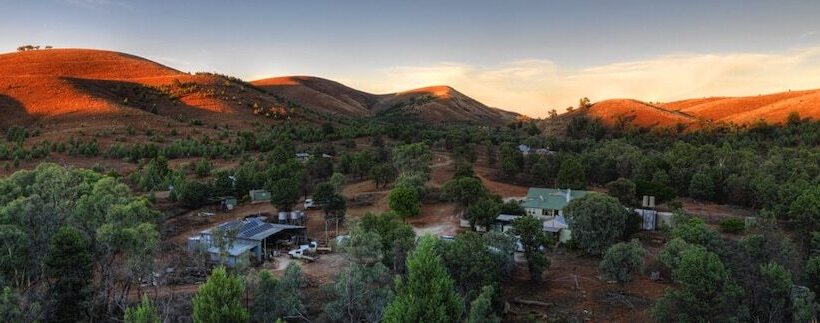 فندق ريفى Skytrek Willow Springs Station