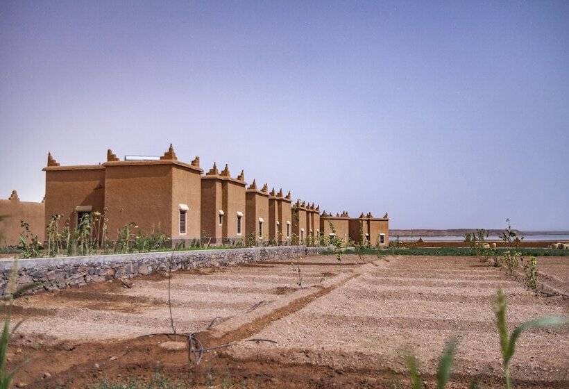 تختخواب و صبحانه Ecolodge L Ile De Ouarzazate
