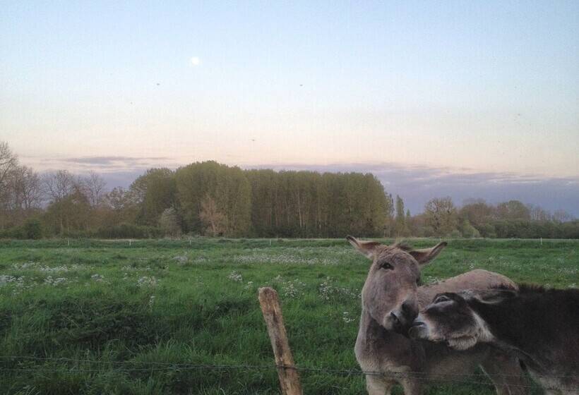 住宿加早餐  La Ferme Des Isles