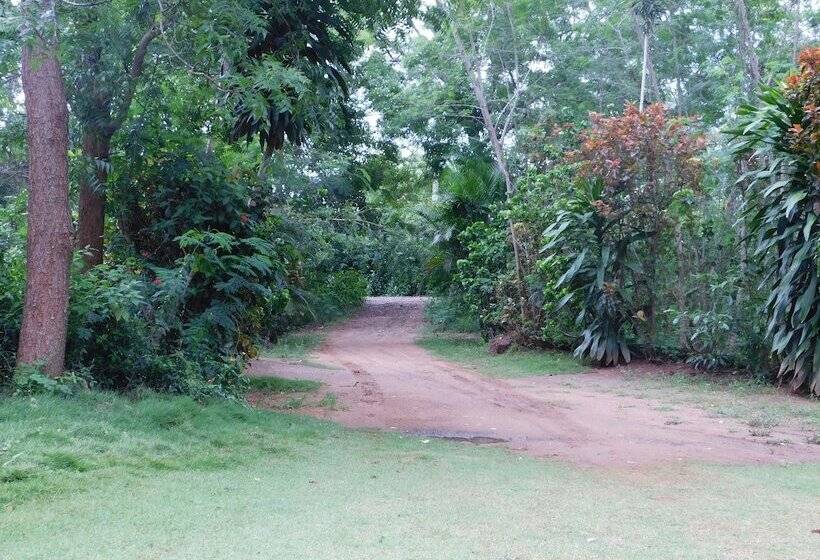 مبيت وإفطار Yala Avian Eye Safari