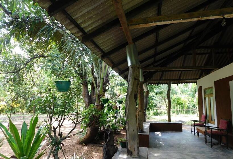 مبيت وإفطار Yala Avian Eye Safari