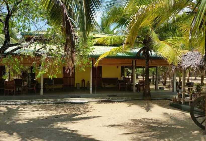 ホテル Alankuda Beach Resort