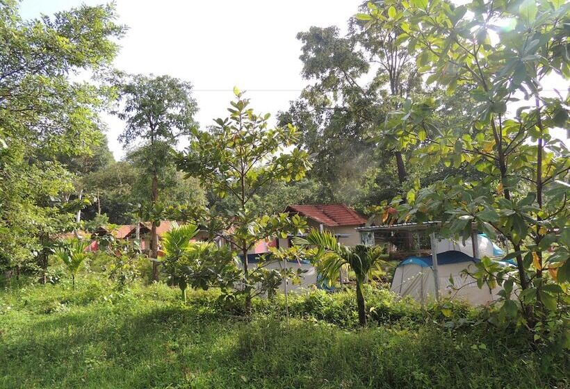酒店 Jungle Nest Homestay