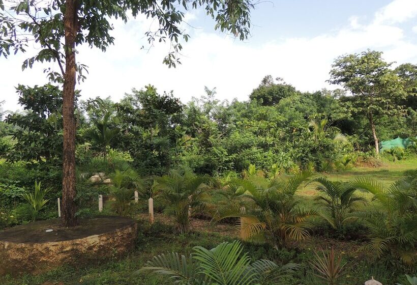 Отель Jungle Nest Homestay