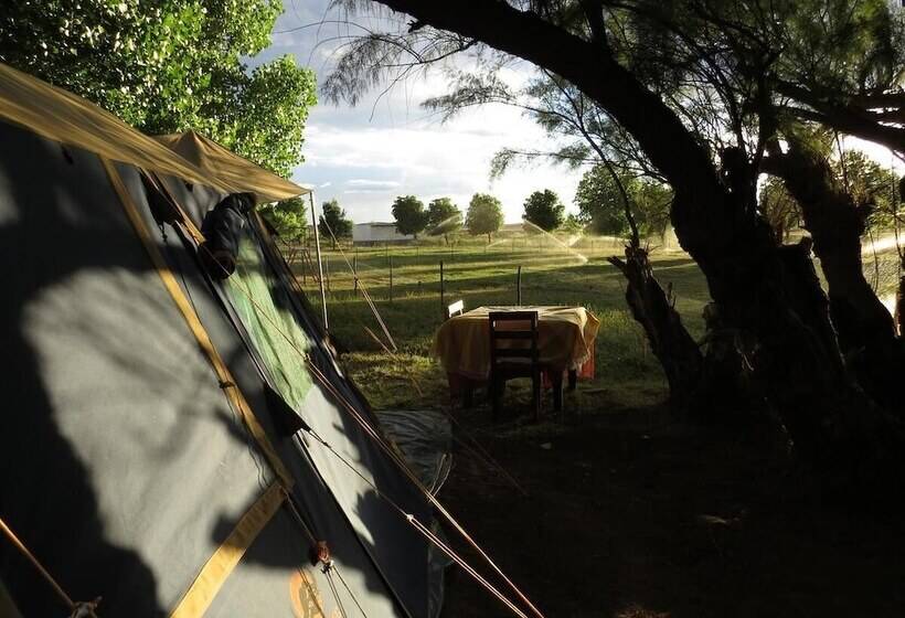 酒店 Karoo Gariep Tented Camp