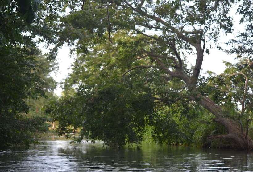 ホテル Makulu Safari Camping