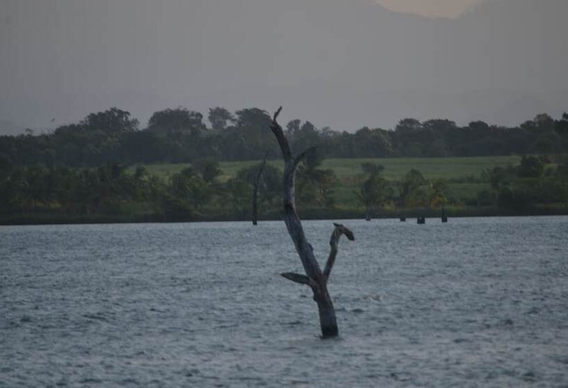 ホテル Makulu Safari Camping
