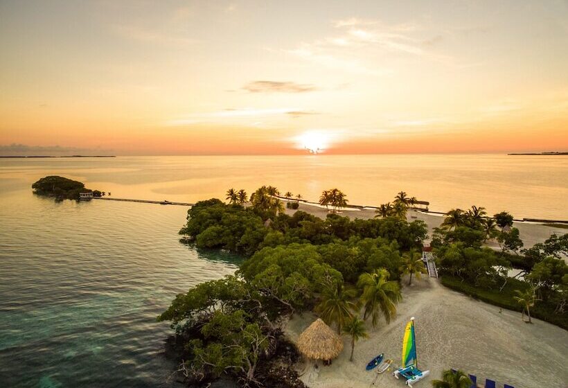 فندق Royal Belize, A Muy Ono Resort