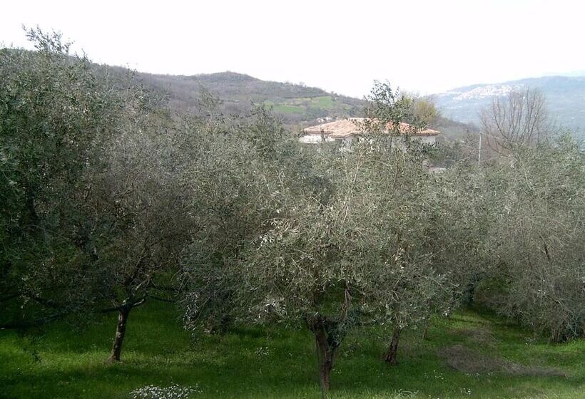 乡村酒店  Agriturismo Le Cammarose