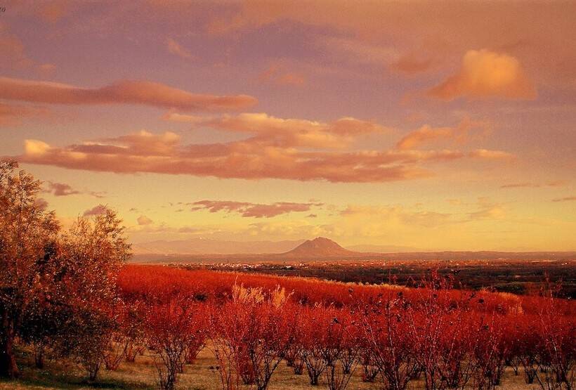 Сельский отель Il Maremmano