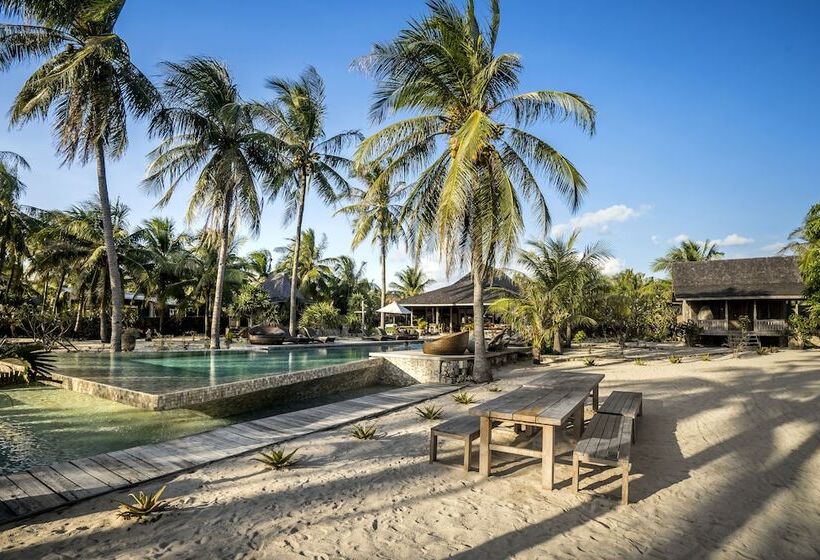 Отель Seed Resort