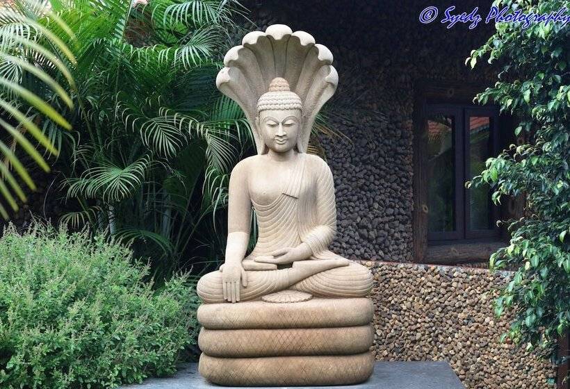 酒店 Shangri La Jungle Resort