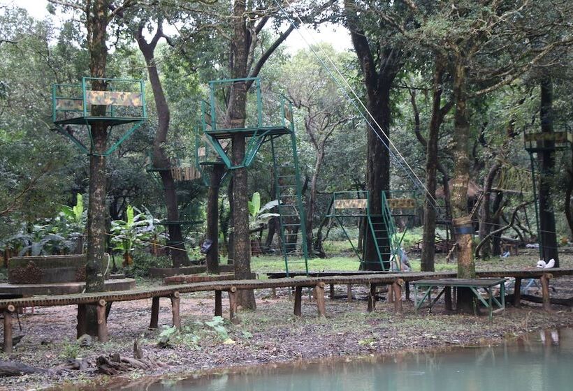 酒店 Shangri La Jungle Resort