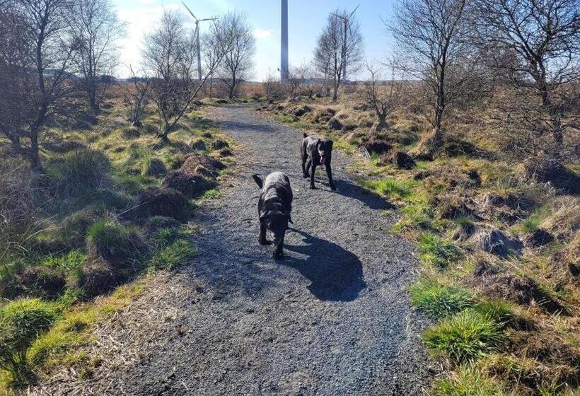 بنسيون Blairmains Guest House