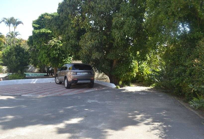 Пансион Cycad Lodge