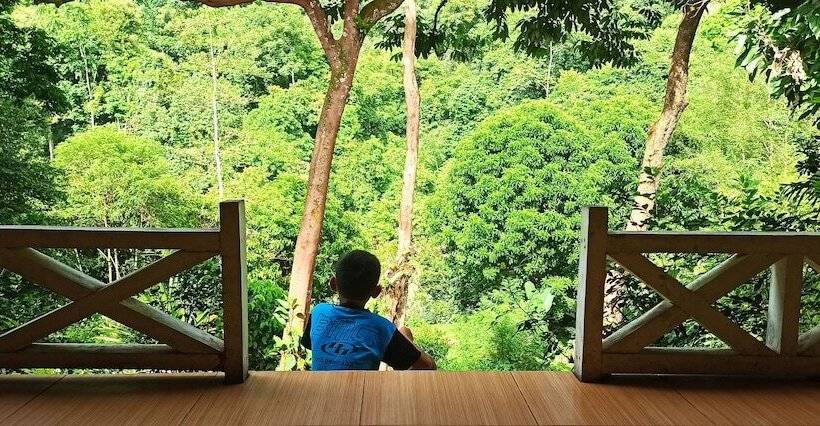 بنسيون Green Forest Tangkahan