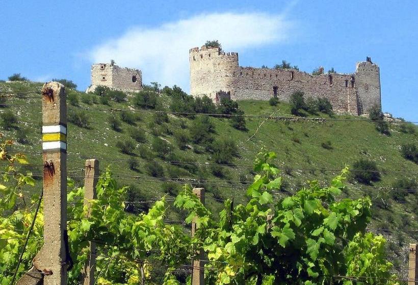 פנסיון Penzion Bouquet