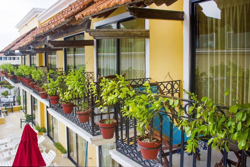 Fotos del hotel Caribbean Paradise Boutique:  17