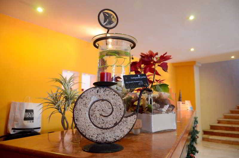 Fotos del hotel Caribbean Paradise Boutique:  14