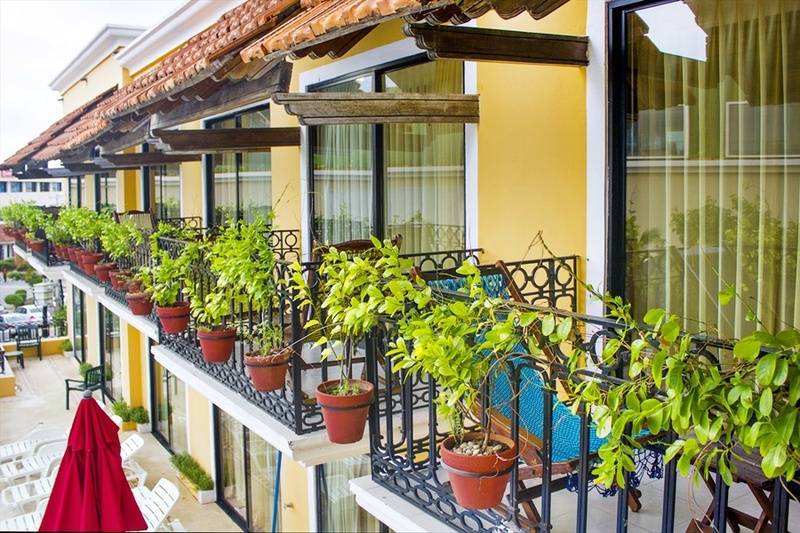 Fotos del hotel Caribbean Paradise Boutique:  11