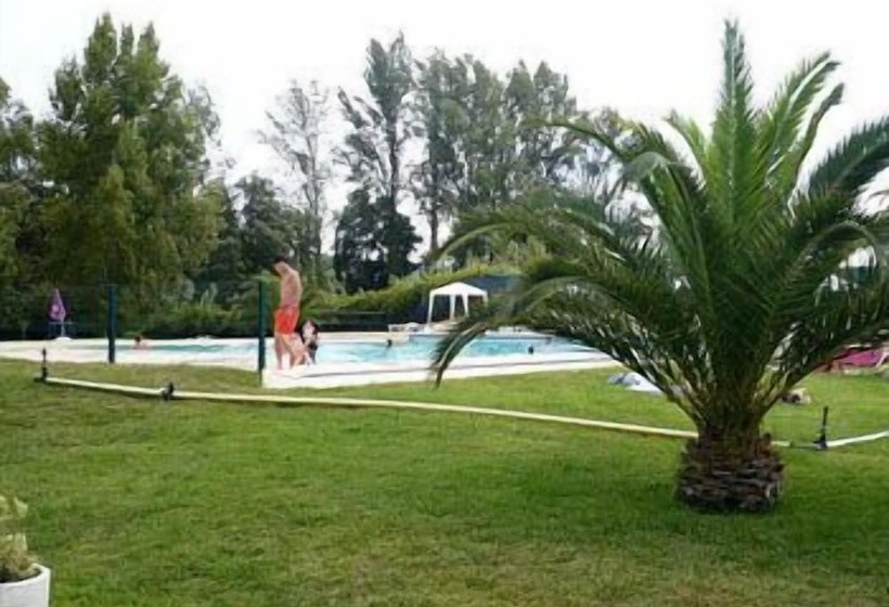Curia Clube